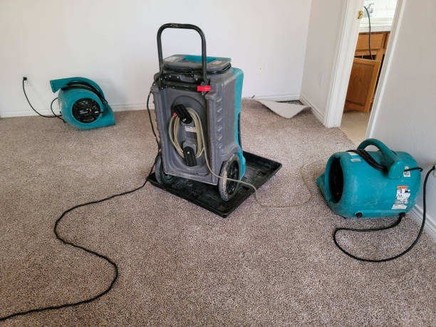 Best Local water damage restoration  in Balmville, NY