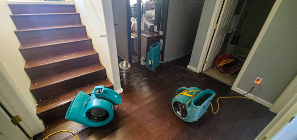Best Water damage mitigation services  in Balmville, NY