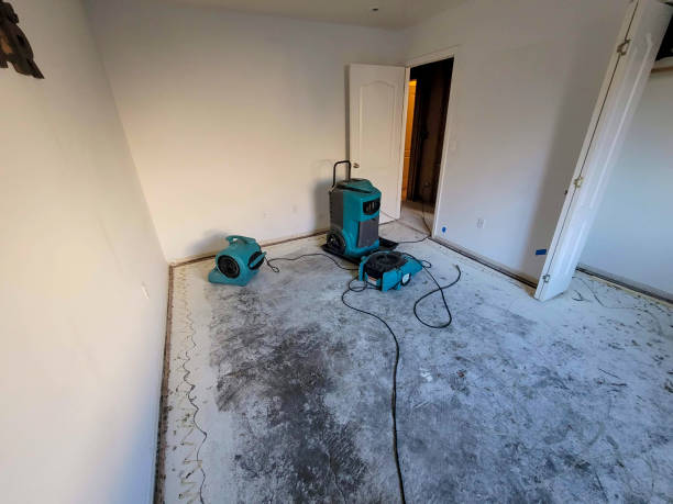 Best 24-hour water damage restoration  in Balmville, NY