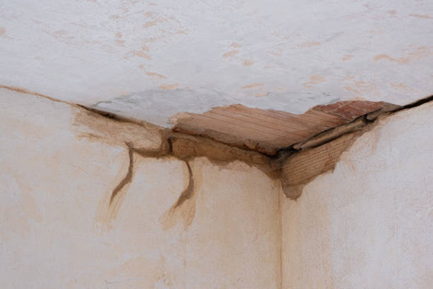 Best Mold removal after water damage  in Balmville, NY