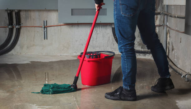 Best Fire Damage Restoration  in Balmville, NY