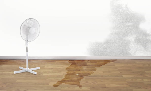Best Flooded house restoration  in Balmville, NY
