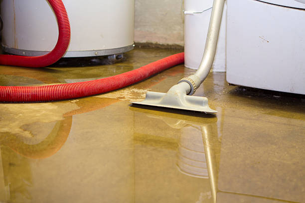 Best Fire Damage Restoration  in Balmville, NY