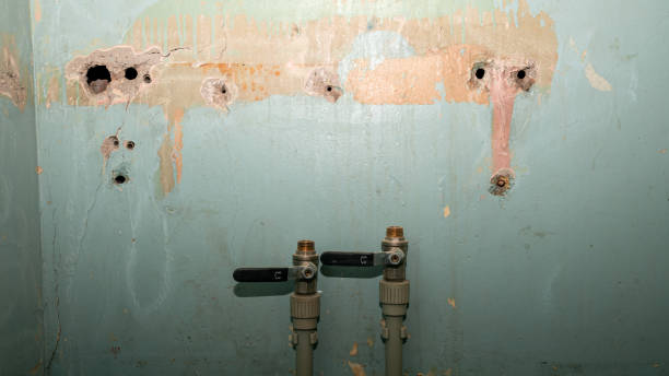 Best 24/7 water damage repair  in Balmville, NY