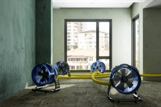 Best Water damage restoration near me  in Balmville, NY